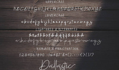 Hand-Lettered Font Bundle - 17 Romantic Script Fonts - Artixty