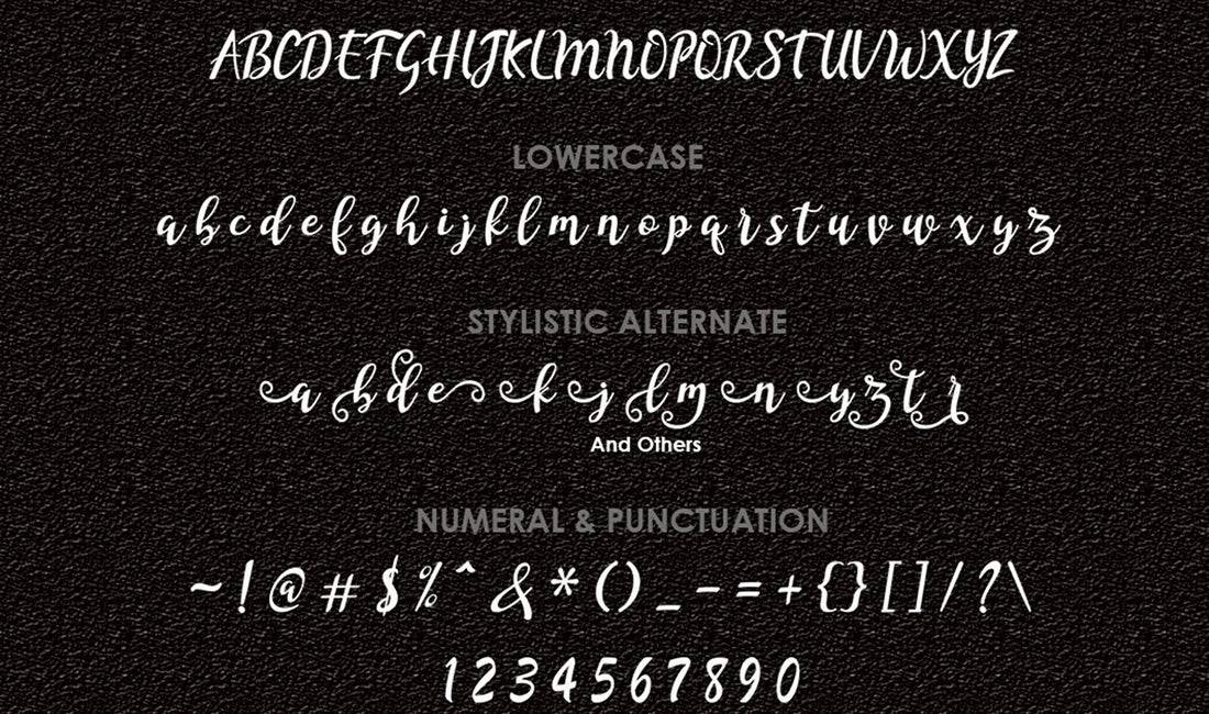 Hand-Lettered Font Bundle - 17 Romantic Script Fonts - Artixty