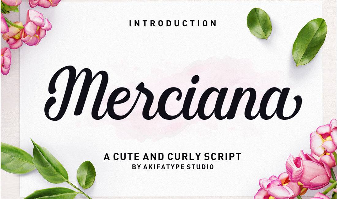 Hand-Lettered Font Bundle - 17 Romantic Script Fonts - Artixty