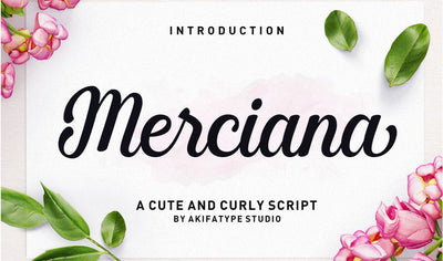 Hand-Lettered Font Bundle - 17 Romantic Script Fonts - Artixty