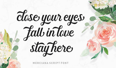 Hand-Lettered Font Bundle - 17 Romantic Script Fonts - Artixty