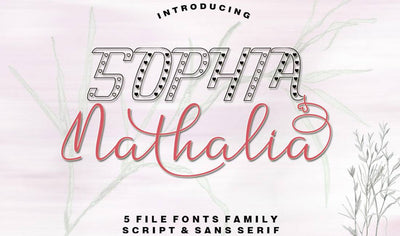 Hand-Lettered Font Bundle - 17 Romantic Script Fonts - Artixty