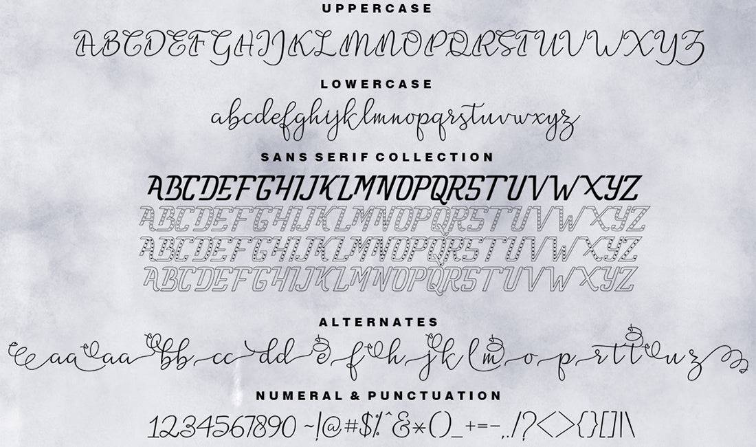 Hand-Lettered Font Bundle - 17 Romantic Script Fonts - Artixty