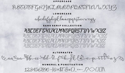 Hand-Lettered Font Bundle - 17 Romantic Script Fonts - Artixty