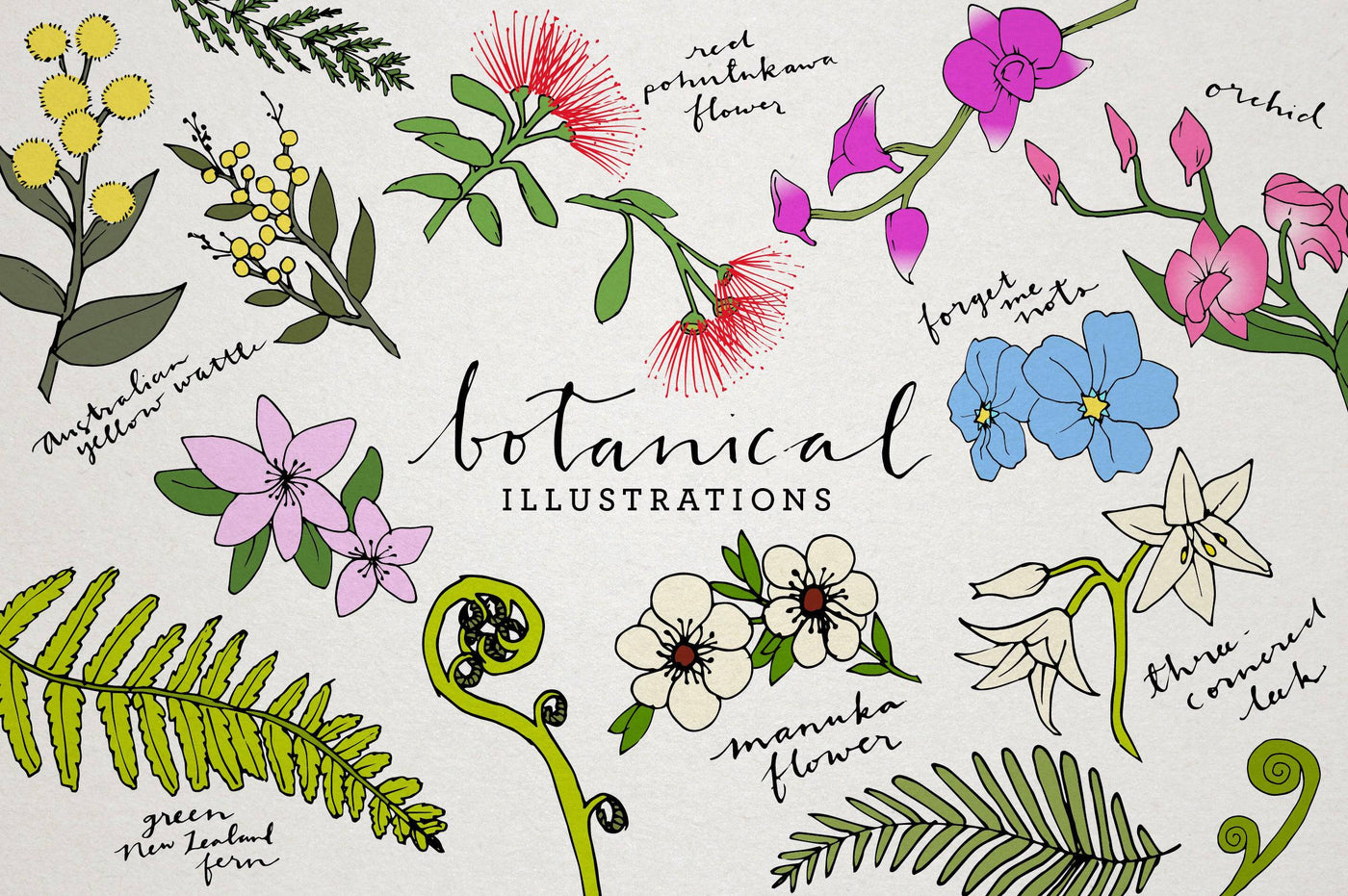 1000+ Premium Hand-Drawn Illustrations Bundle - Artixty