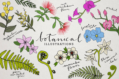 1000+ Premium Hand-Drawn Illustrations Bundle - Artixty