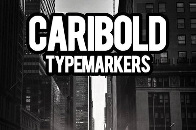 57 Premium Fonts - Script, Sans, Display With Extras - Artixty
