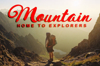 57 Premium Fonts - Script, Sans, Display With Extras - Artixty