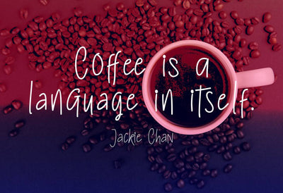 57 Premium Fonts - Script, Sans, Display With Extras - Artixty