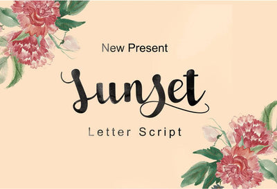 57 Premium Fonts - Script, Sans, Display With Extras - Artixty