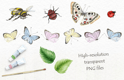 14-In-1 Mega Creative Bundle By Eva Katerina