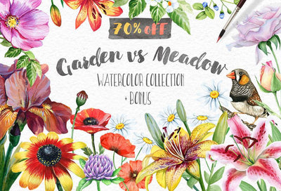 14-In-1 Mega Creative Bundle By Eva Katerina
