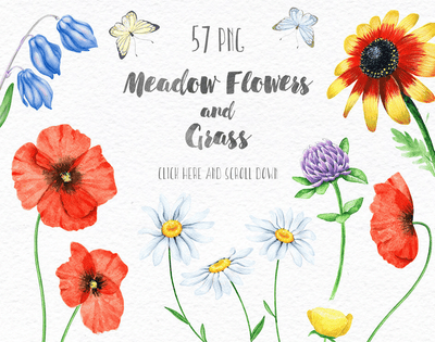 14-In-1 Mega Creative Bundle By Eva Katerina