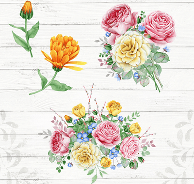 14-In-1 Mega Creative Bundle By Eva Katerina