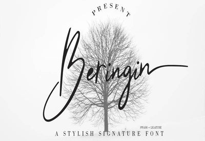 The Massive Bundle Of 46 Beautiful Fonts