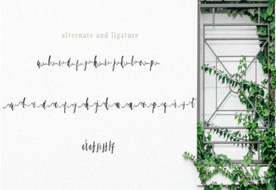 The Massive Bundle Of 46 Beautiful Fonts