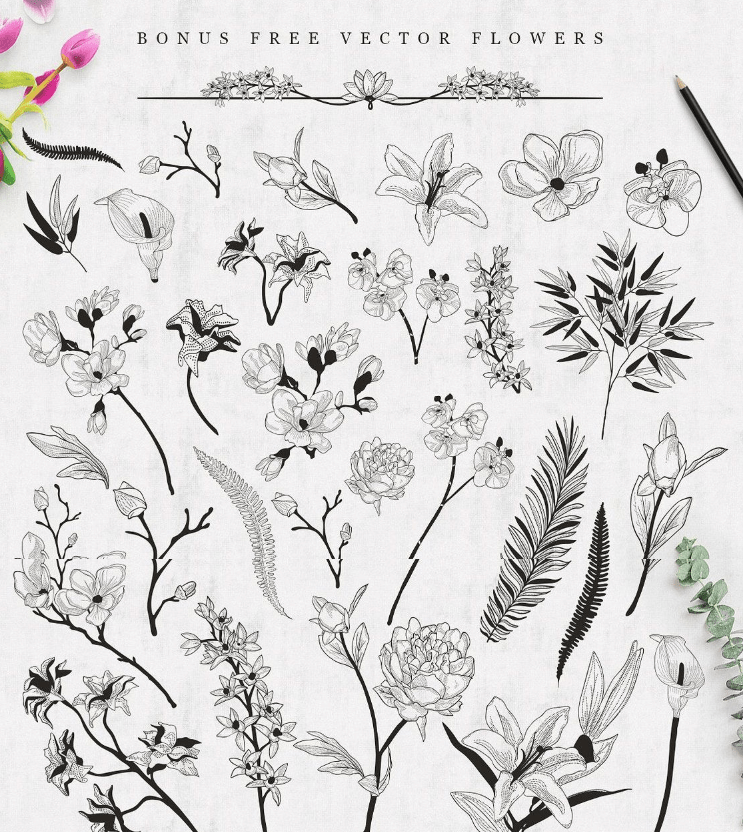 5300-In-1 Design Bundle By Olya Creative - Artixty