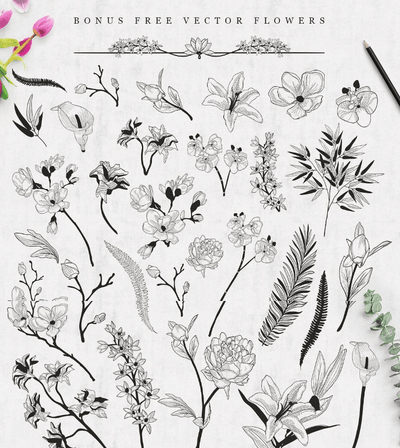 5300-In-1 Design Bundle By Olya Creative - Artixty