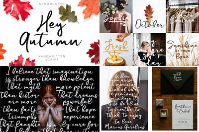 57 Professional Fonts From Mellow Design - Artixty