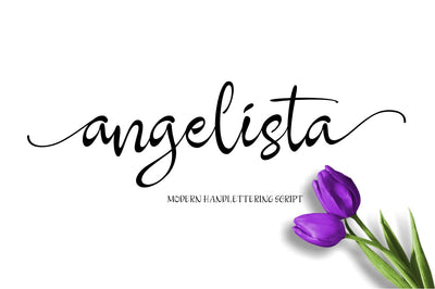 27 Elegant Script Fonts Mega Bundle - Artixty