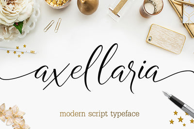 27 Elegant Script Fonts Mega Bundle - Artixty