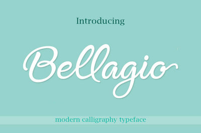 27 Elegant Script Fonts Mega Bundle - Artixty