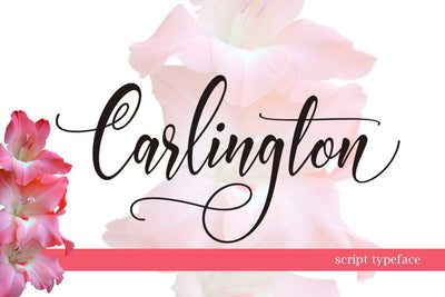 27 Elegant Script Fonts Mega Bundle - Artixty