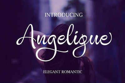 27 Elegant Script Fonts Mega Bundle - Artixty