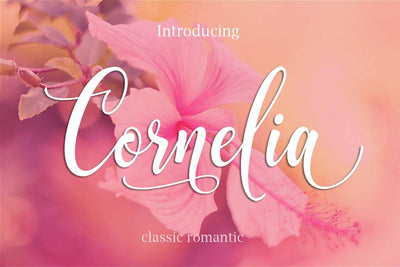 27 Elegant Script Fonts Mega Bundle - Artixty