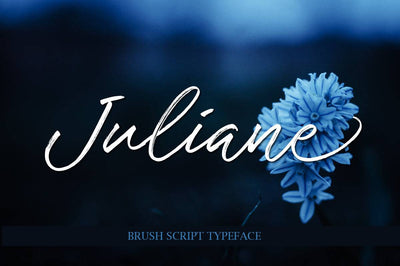 27 Elegant Script Fonts Mega Bundle - Artixty