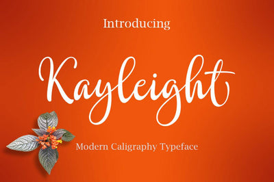 27 Elegant Script Fonts Mega Bundle - Artixty