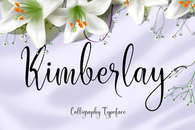 27 Elegant Script Fonts Mega Bundle - Artixty