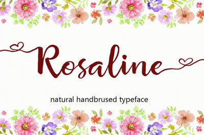 27 Elegant Script Fonts Mega Bundle - Artixty