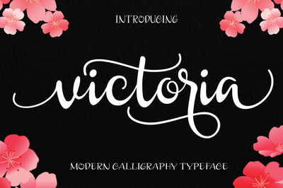 27 Elegant Script Fonts Mega Bundle - Artixty