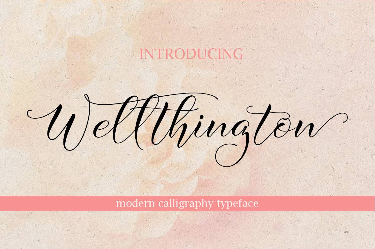 27 Elegant Script Fonts Mega Bundle - Artixty