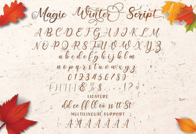 Magic Winter Font Trio By Almeera Studio - Artixty