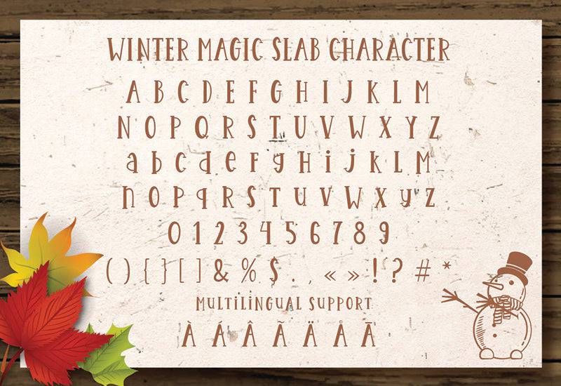 Magic Winter Font Trio By Almeera Studio - Artixty