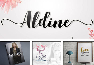 The Delight Font Bundle - 66 Fonts + Extras - Artixty