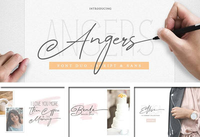 The Delight Font Bundle - 66 Fonts + Extras - Artixty