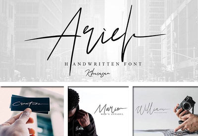 The Delight Font Bundle - 66 Fonts + Extras - Artixty