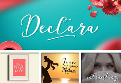 The Delight Font Bundle - 66 Fonts + Extras - Artixty