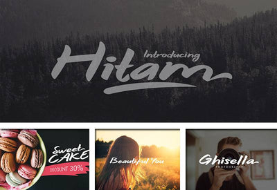 The Delight Font Bundle - 66 Fonts + Extras - Artixty