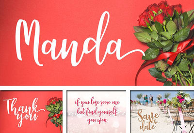 The Delight Font Bundle - 66 Fonts + Extras - Artixty