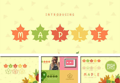 The Delight Font Bundle - 66 Fonts + Extras - Artixty