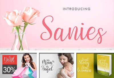 The Delight Font Bundle - 66 Fonts + Extras - Artixty
