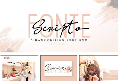 The Delight Font Bundle - 66 Fonts + Extras - Artixty