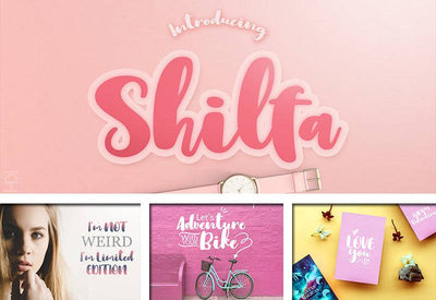 The Delight Font Bundle - 66 Fonts + Extras - Artixty