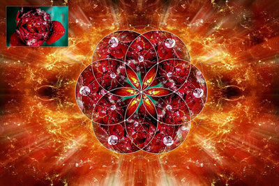 Sacred Geometry Generator Photoshop Panel - Artixty
