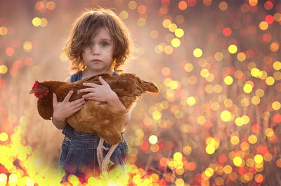 Big Pack Of 100+ Bokeh Photo Overlays - Artixty