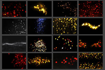 Big Pack Of 100+ Bokeh Photo Overlays - Artixty